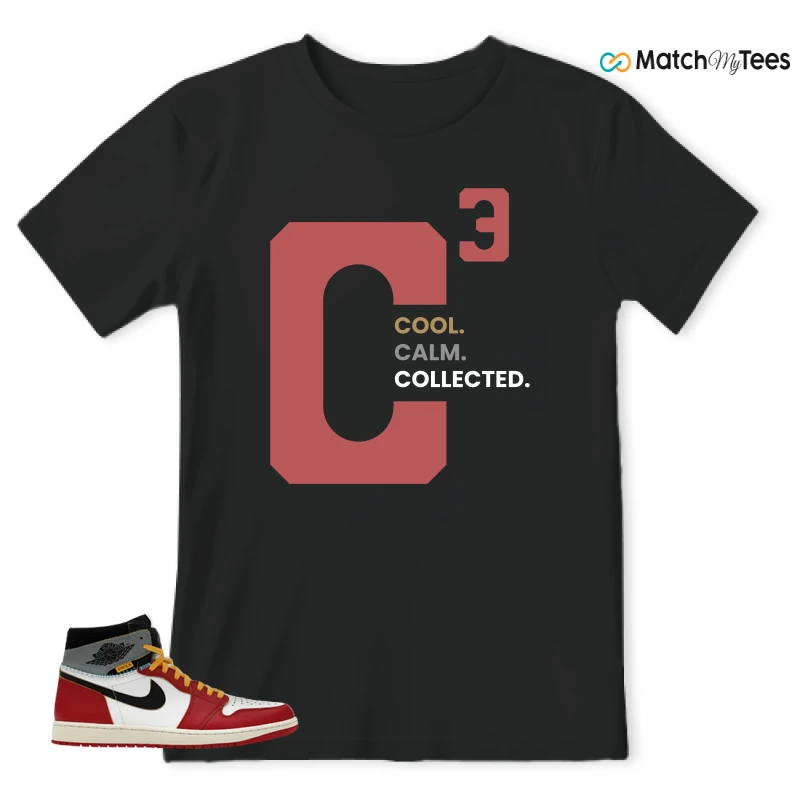NIKE AIR JORDAN 1 HIGH X UNION LA SNEAKER Matching Tees t-shirt