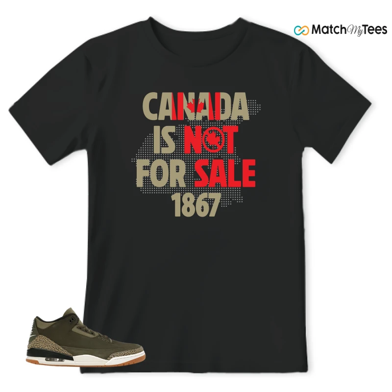 NIKE AIR JORDAN 3 FAMILY AFFAIR SNEAKER Matching Tees t-shirt
