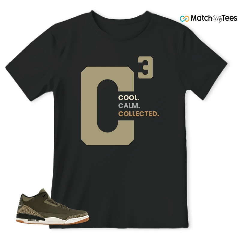 NIKE AIR JORDAN 3 FAMILY AFFAIR SNEAKER Matching Tees t-shirt