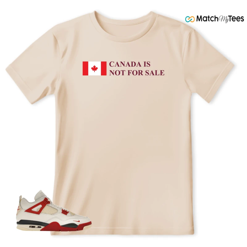 NIKE AIR JORDAN 4 BRICK AFTER BRICK SNEAKER Matching Tees t-shirt