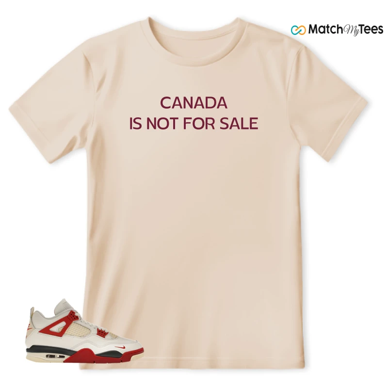 NIKE AIR JORDAN 4 BRICK AFTER BRICK SNEAKER Matching Tees t-shirt