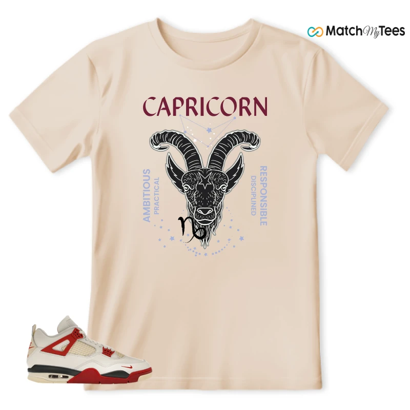 NIKE AIR JORDAN 4 BRICK AFTER BRICK SNEAKER Matching Tees t-shirt