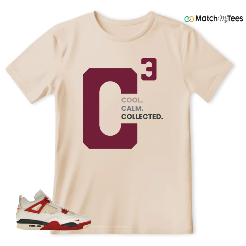 NIKE AIR JORDAN 4 BRICK AFTER BRICK SNEAKER Matching Tees t-shirt