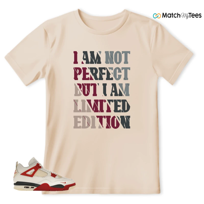 NIKE AIR JORDAN 4 BRICK AFTER BRICK SNEAKER Matching Tees t-shirt