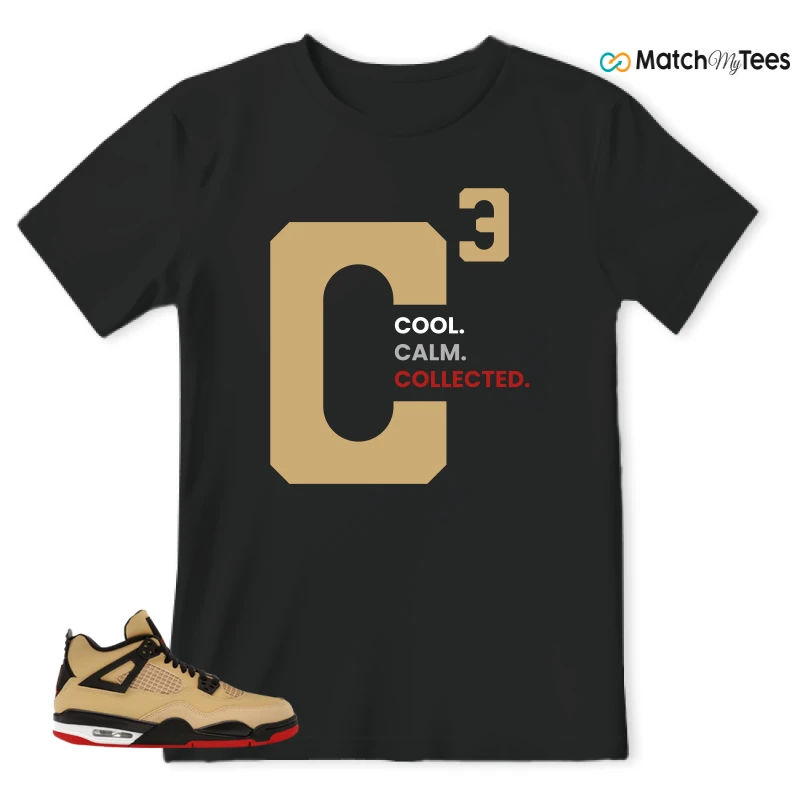 NIKE AIR JORDAN 4 RETRO GS PIZZA SNEAKER Matching Tees t-shirt