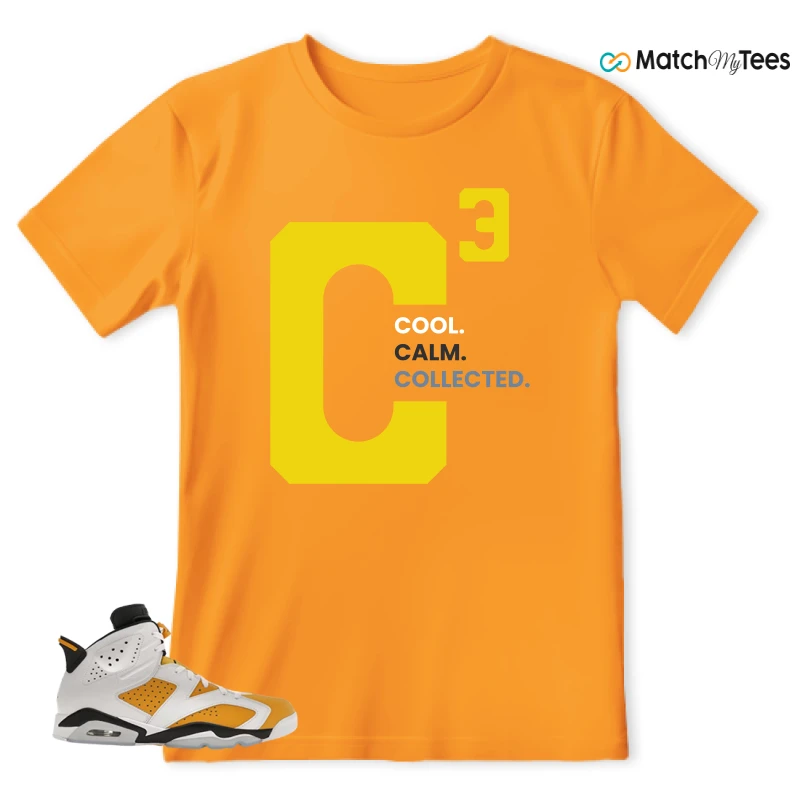 NIKE AIR JORDAN 6 YELLOW OCHRE SNEAKER Matching Tees t-shirt