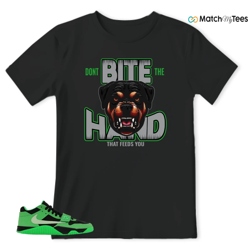 NIKE AIR JORDAN JUMPMAN JACK TR GREEN SPARK SNEAKER Matching Tees t-shirt