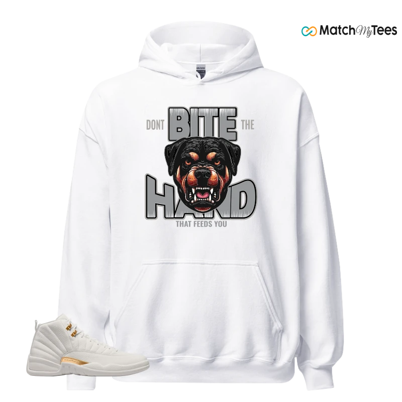 NIKE AIR JORDAN 12 PHANTOM WMNS SNEAKER Matching Tees Hoodie for Men