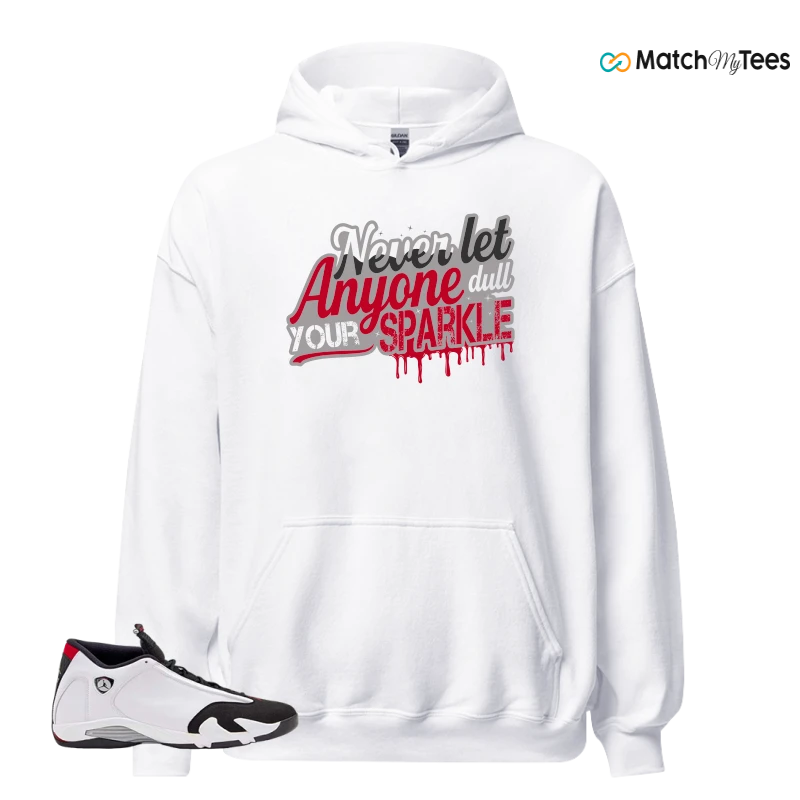 NIKE AIR JORDAN 14 BLACK TOE 2024 SNEAKER Matching Tees hoodie