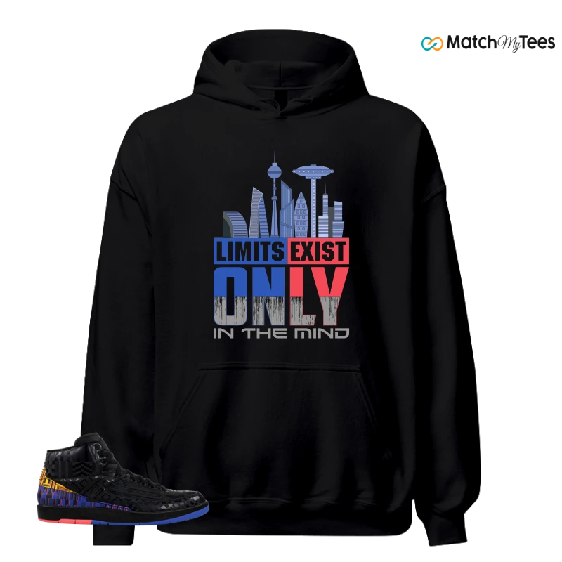 NIKE JORDAN 2 RETRO BLACK HISTORY MONTH (2019) SNEAKER Matching Tees hoodie