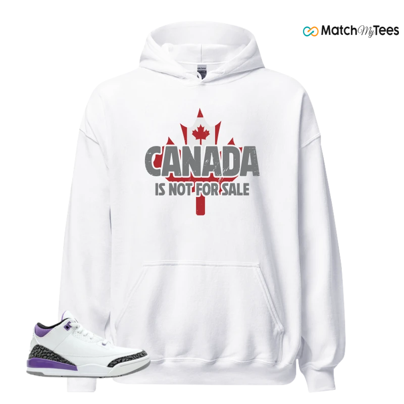 NIKE JORDAN 3 RETRO DARK IRIS (PS) SNEAKER Matching Tees hoodie