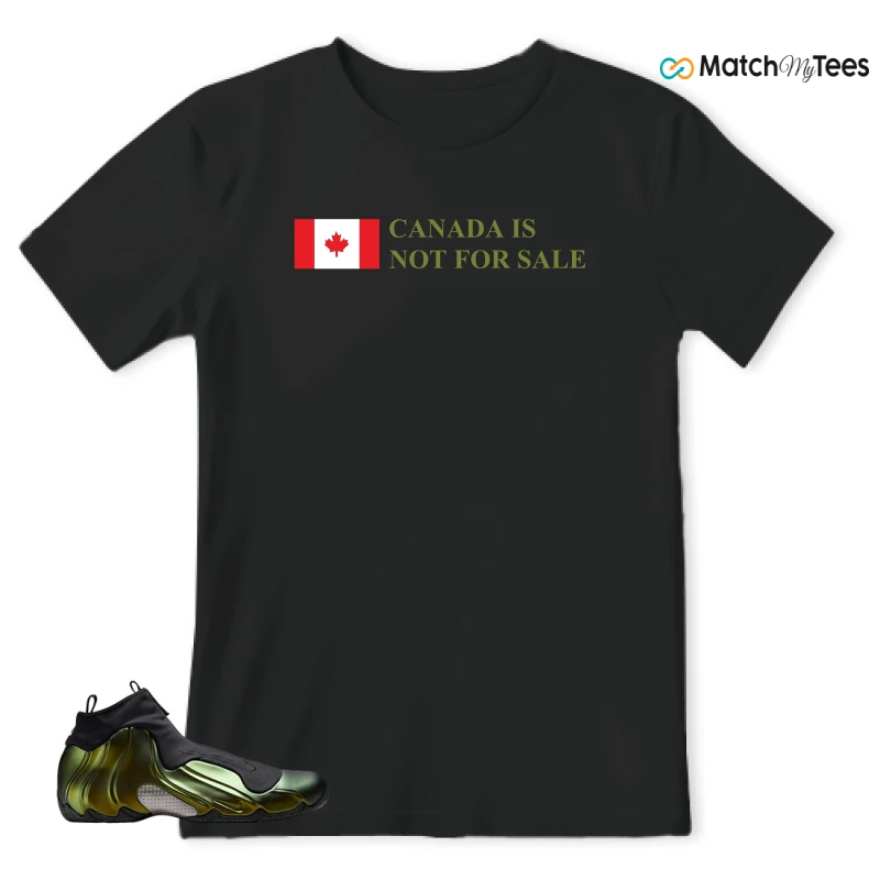 NIKE AIR FLIGHTPOSITE BLACK METALLIC GOLD SNEAKER Matching Tees t-shirt