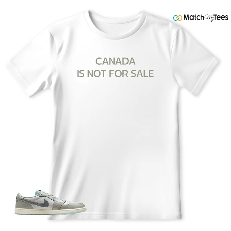 NIKE AIR JORDAN 1 LOW YEAR OF THE SNAKE SNEAKER Matching Tees t-shirt