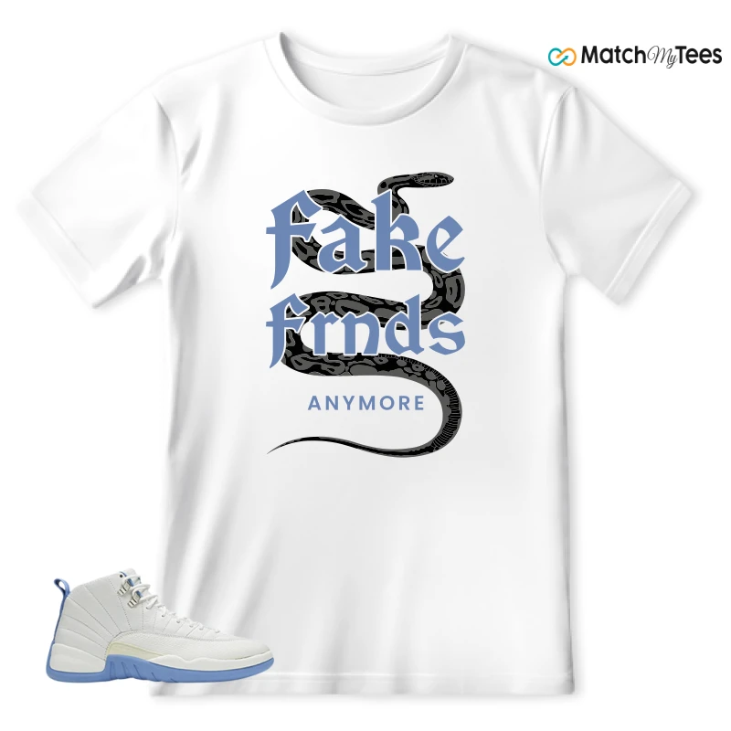 NIKE AIR JORDAN 12 MELO 2025 SNEAKER Matching Tees t-shirt