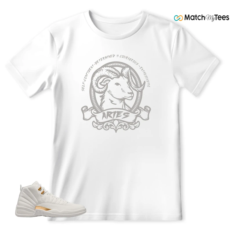 NIKE AIR JORDAN 12 PHANTOM WMNS SNEAKER Matching Tees T-shirt for Men