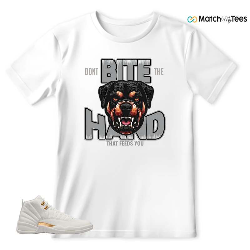 NIKE AIR JORDAN 12 PHANTOM WMNS SNEAKER Matching Tees T-shirt for Men