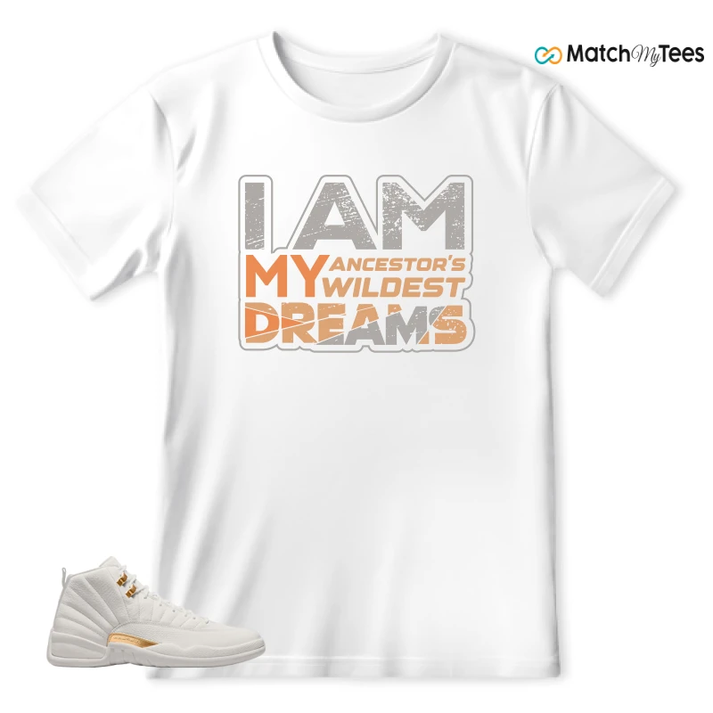 NIKE AIR JORDAN 12 PHANTOM WMNS SNEAKER Matching Tees t-shirt
