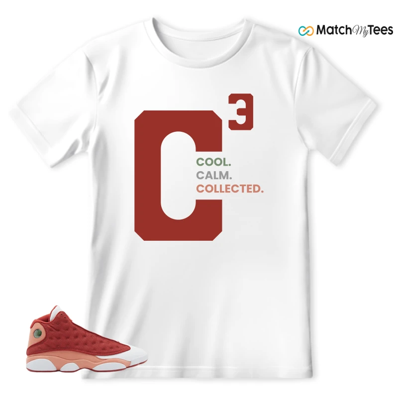 NIKE AIR JORDAN 13 DUNE RED SNEAKER Matching Tees t-shirt