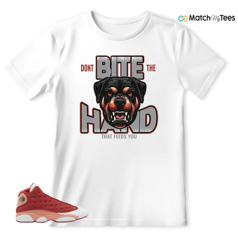 NIKE AIR JORDAN 13 DUNE RED SNEAKER Matching Tees t-shirt