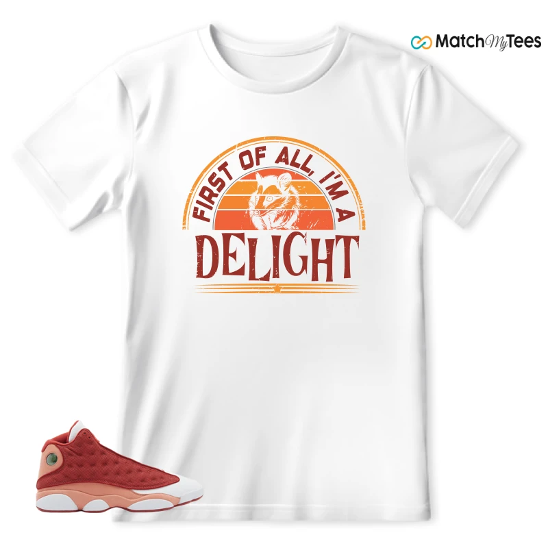 NIKE AIR JORDAN 13 DUNE RED SNEAKER Matching Tees t-shirt