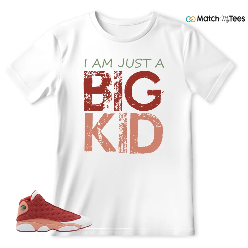 NIKE AIR JORDAN 13 DUNE RED SNEAKER Matching Tees t-shirt