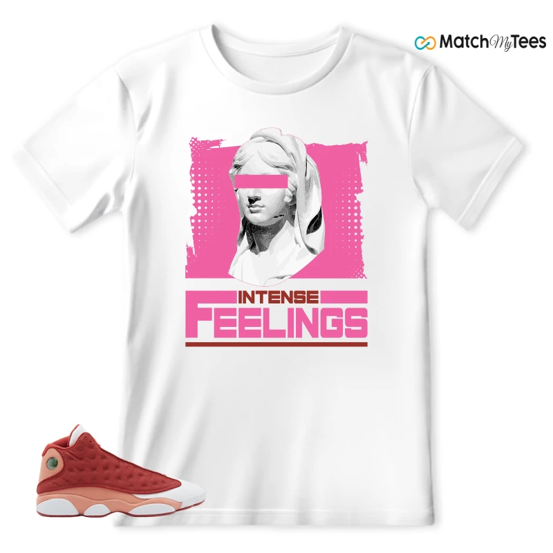 NIKE AIR JORDAN 13 DUNE RED SNEAKER Matching Tees t-shirt
