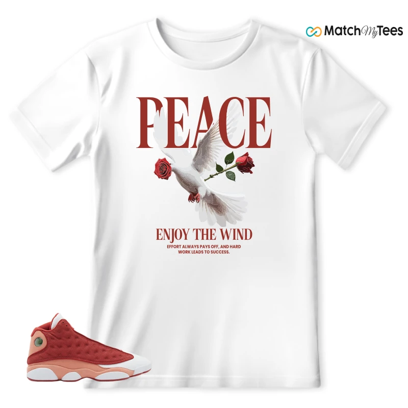 NIKE AIR JORDAN 13 DUNE RED SNEAKER Matching Tees T-shirt for Men