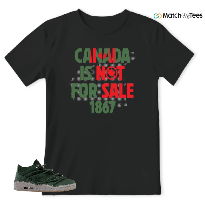 NIKE AIR JORDAN 3 TEYANA TAYLOR CONCRETE ROSE SNEAKER Matching Tees t-shirt