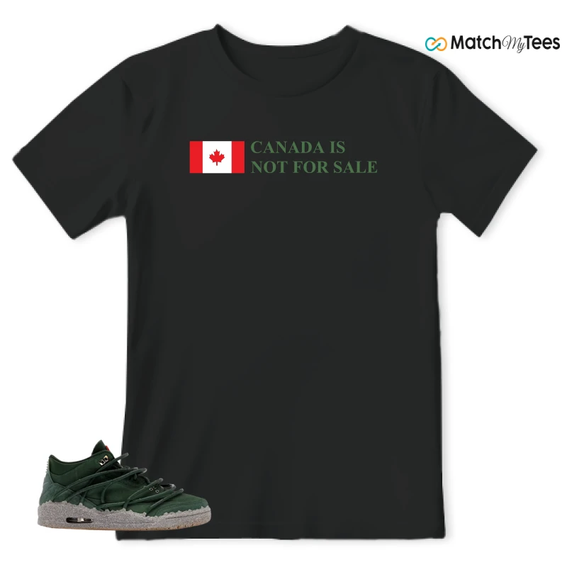 NIKE AIR JORDAN 3 TEYANA TAYLOR CONCRETE ROSE SNEAKER Matching Tees t-shirt
