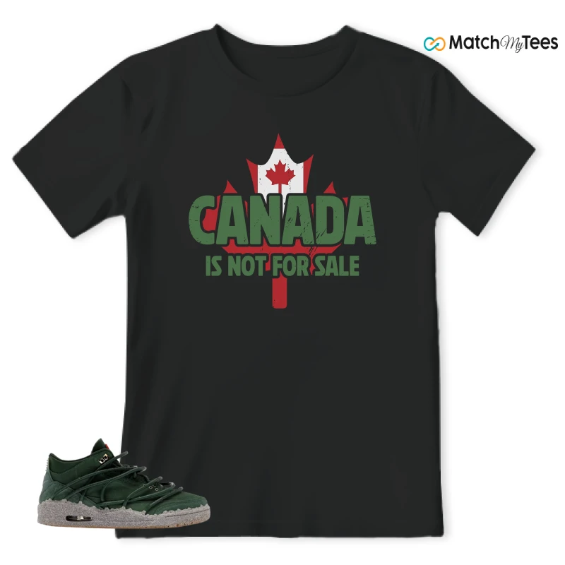 NIKE AIR JORDAN 3 TEYANA TAYLOR CONCRETE ROSE SNEAKER Matching Tees t-shirt