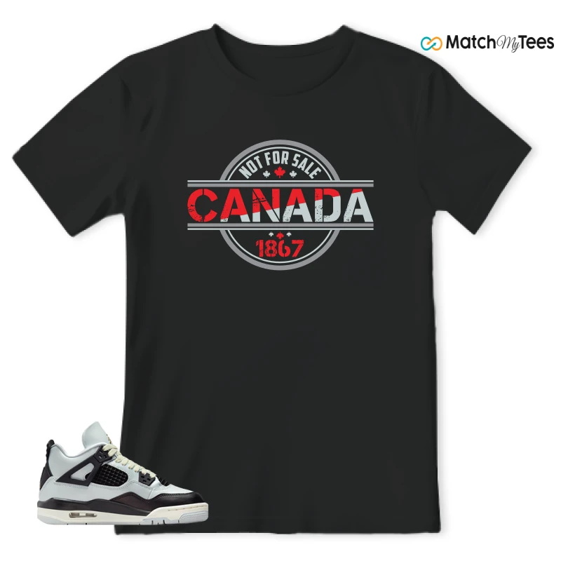 NIKE AIR JORDAN 4 RETRO PLATINUM GOLD SNEAKER Matching Tees t-shirt