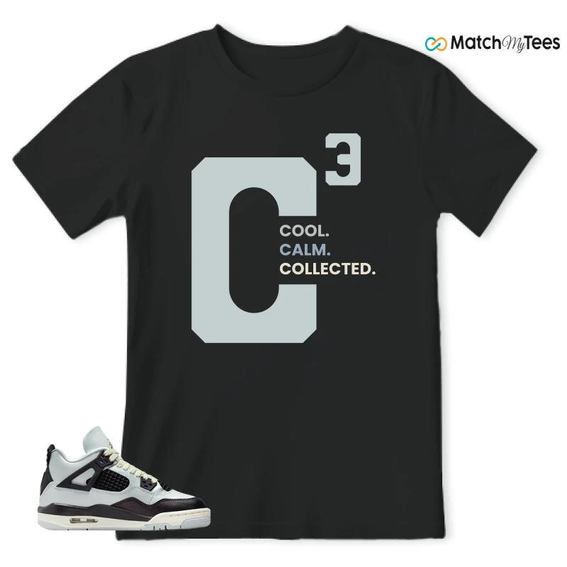 NIKE AIR JORDAN 4 RETRO PLATINUM GOLD SNEAKER Matching Tees t-shirt