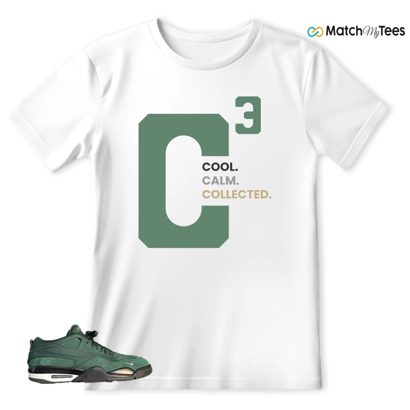 NIKE AIR JORDAN 4 RM X NIGEL SYLVESTER GRANDMA'S DRIVEWAY SNEAKER Matching Tees t-shirt