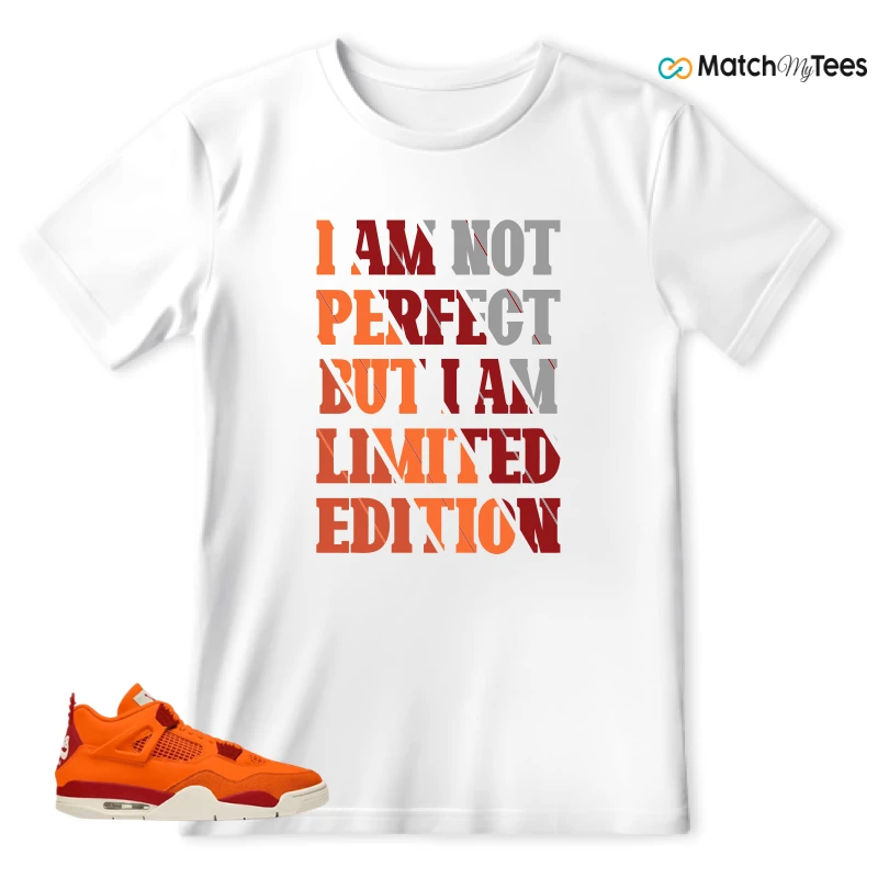 NIKE AIR JORDAN 4 X NIGEL SYLVESTER BIKE AIR FIREWOOD ORANGE SNEAKER Matching Tees t-shirt