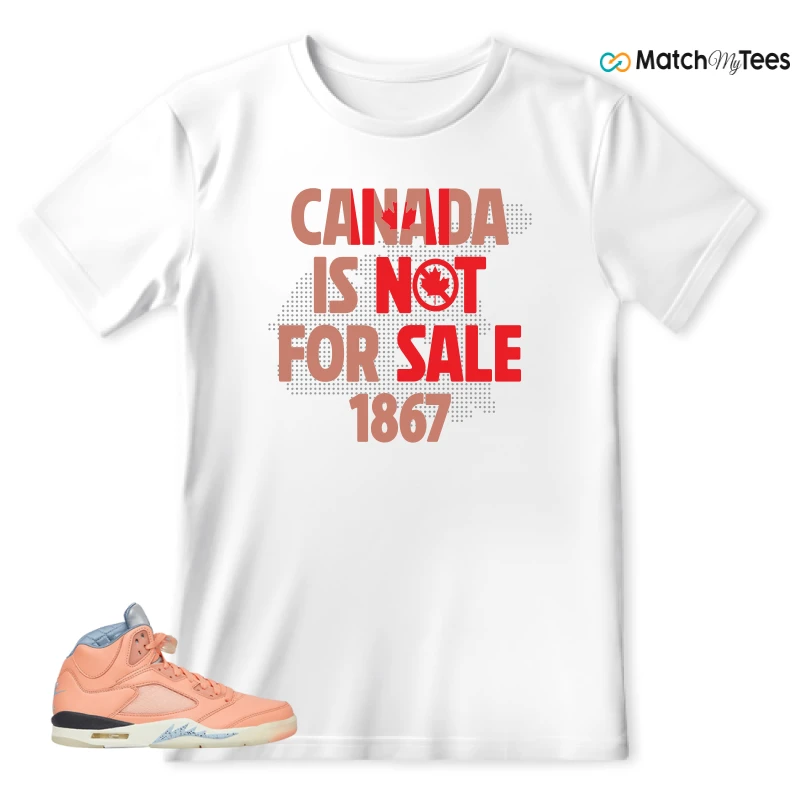 NIKE AIR JORDAN 5 RETRO DJ KHALED WE THE BEST CRIMSON BLISS SNEAKER Matching Tees t-shirt
