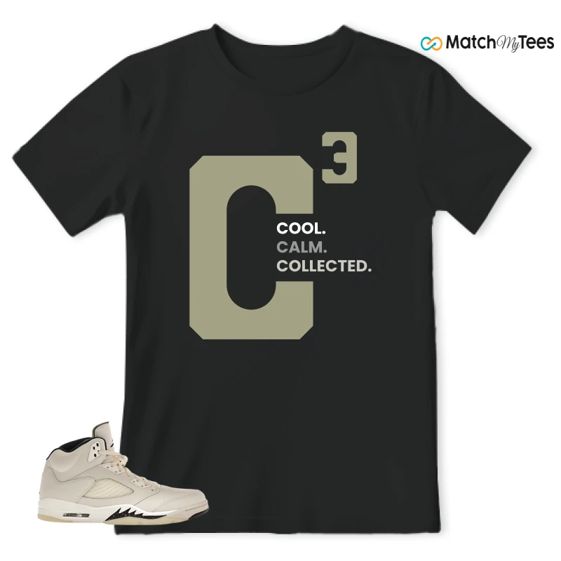 NIKE AIR JORDAN 5 RETRO SAIL SNEAKER Matching Tees t-shirt