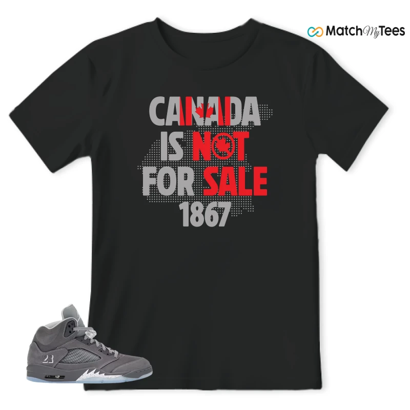 NIKE AIR JORDAN 5 RETRO WOLF GREY 2026 SNEAKER Matching Tees t-shirt