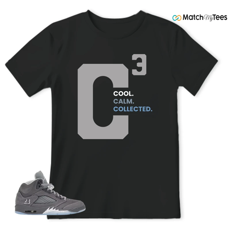 NIKE AIR JORDAN 5 RETRO WOLF GREY 2026 SNEAKER Matching Tees t-shirt