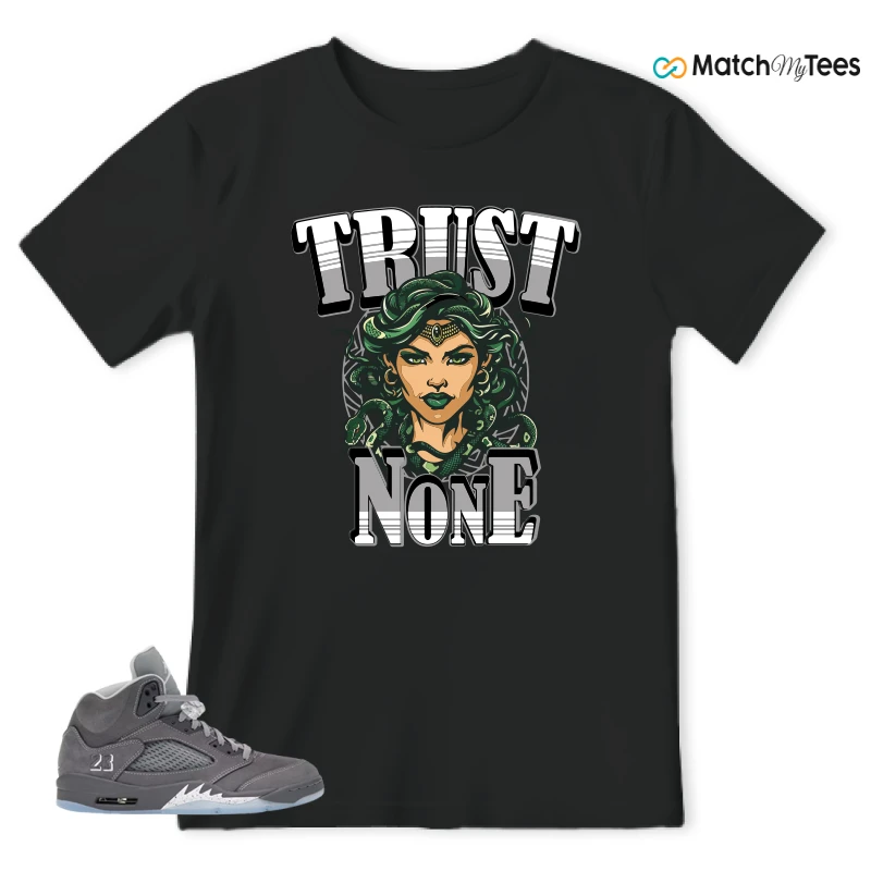 NIKE AIR JORDAN 5 RETRO WOLF GREY 2026 SNEAKER Matching Tees t-shirt