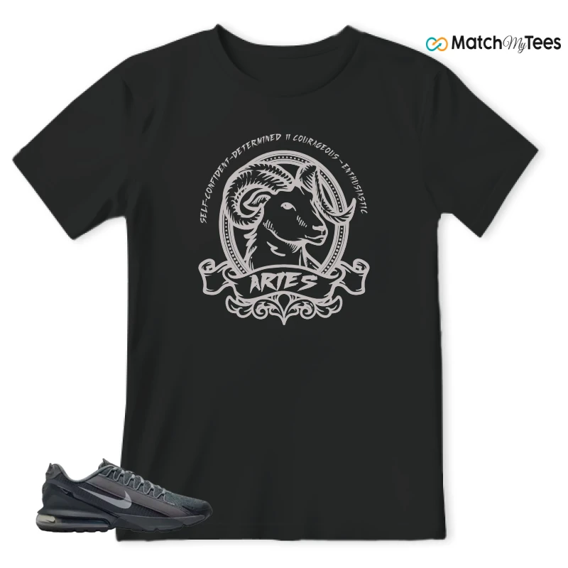 NIKE AIR MAX PULSE ROAM DARK SMOKE GREY SNEAKER Matching Tees T-shirt for Men