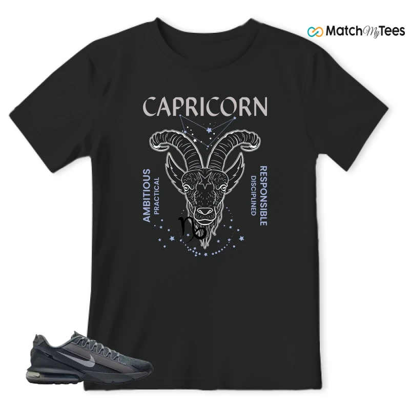 NIKE AIR MAX PULSE ROAM DARK SMOKE GREY SNEAKER Matching Tees t-shirt