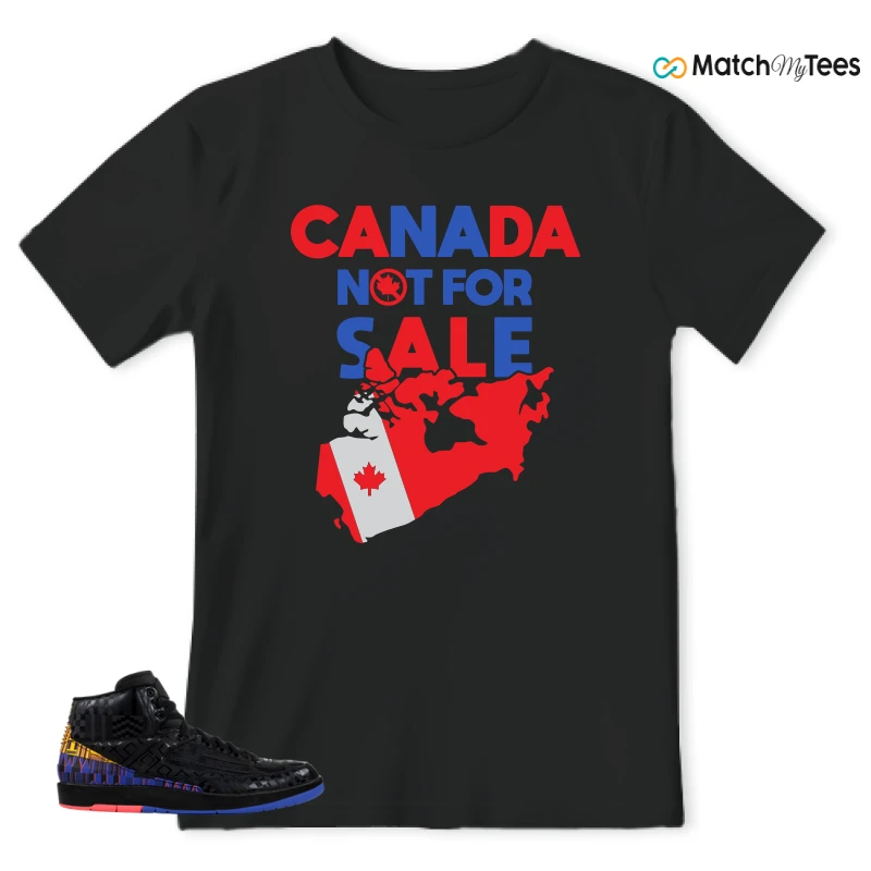 NIKE JORDAN 2 RETRO BLACK HISTORY MONTH (2019) SNEAKER Matching Tees t-shirt