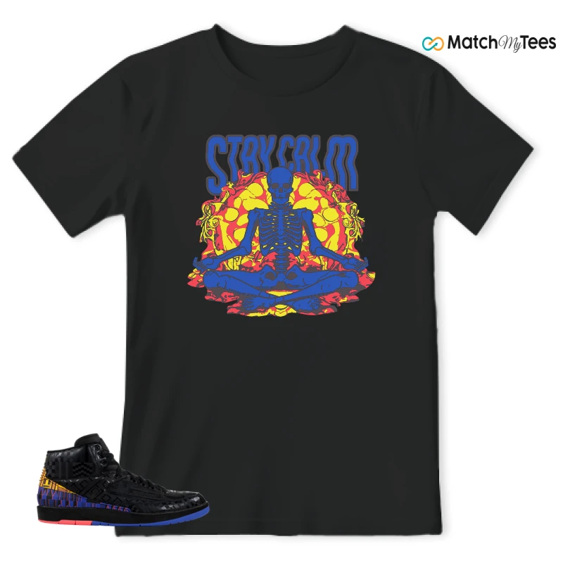 NIKE JORDAN 2 RETRO BLACK HISTORY MONTH (2019) SNEAKER Matching Tees t-shirt
