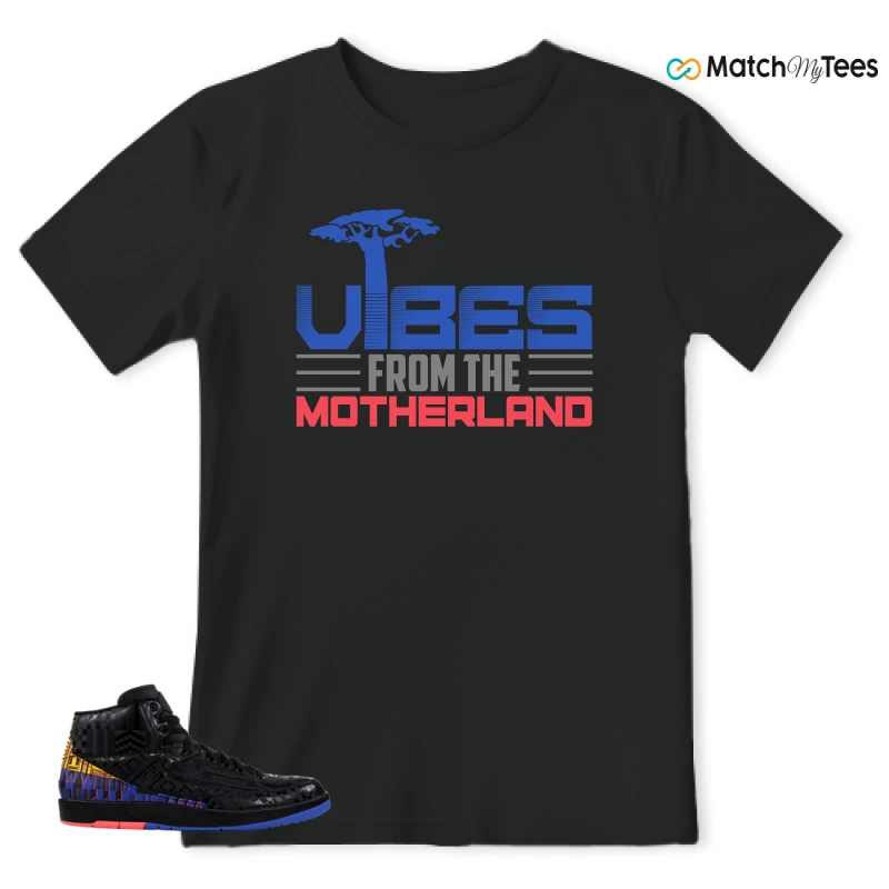 NIKE JORDAN 2 RETRO BLACK HISTORY MONTH (2019) SNEAKER Matching Tees t-shirt