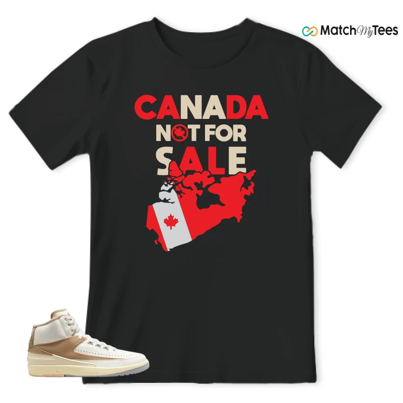 NIKE JORDAN 2 RETRO CRAFT SUNSET HAZE (WOMEN'S) SNEAKER Matching Tees t-shirt
