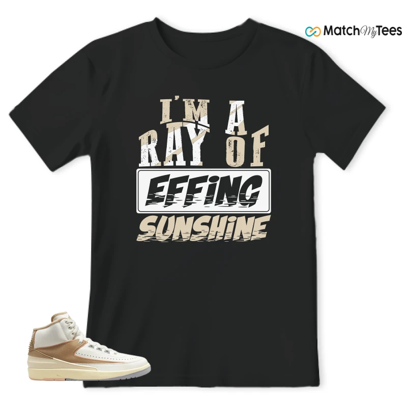 NIKE JORDAN 2 RETRO CRAFT SUNSET HAZE (WOMEN'S) SNEAKER Matching Tees t-shirt