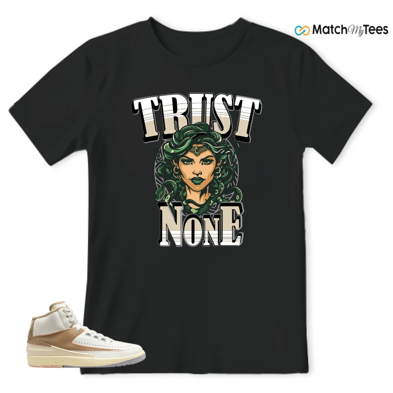 NIKE JORDAN 2 RETRO CRAFT SUNSET HAZE (WOMEN'S) SNEAKER Matching Tees t-shirt