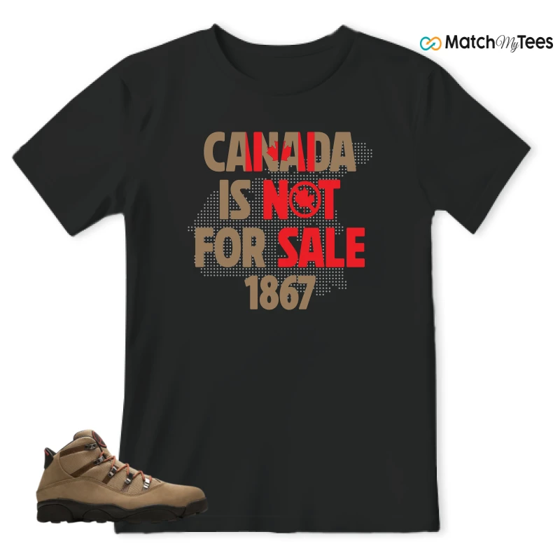NIKE JORDAN 6 RINGS WINTERIZED ROCKY TAN (2021) SNEAKER Matching Tees t-shirt