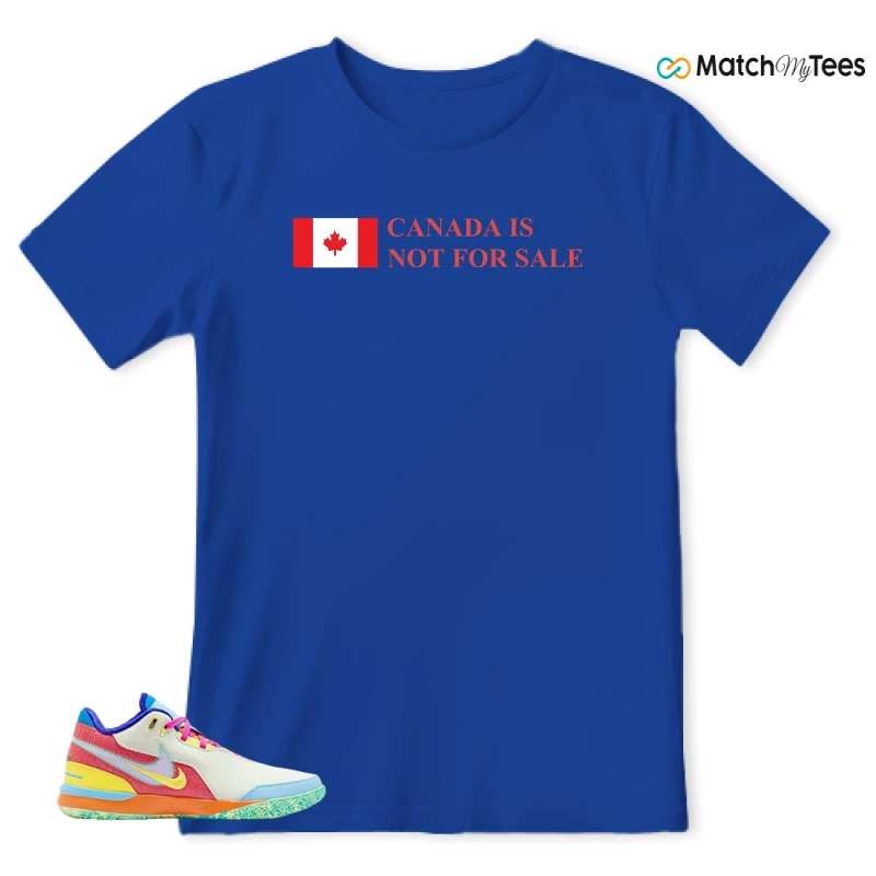 NIKE ZOOM LEBRON NXXT GEN AMPD I PROMISE SNEAKER Matching Tees t-shirt