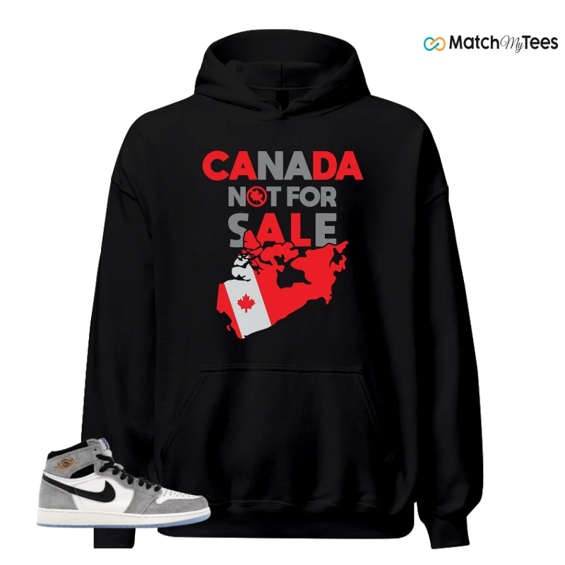 NIKE AIR JORDAN 1 HIGH COOL GREY SNEAKER Matching Tees hoodie